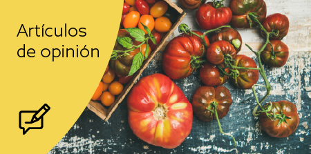 Artículos de opinión