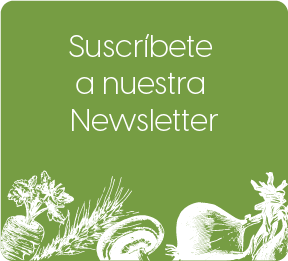 Suscríbete a nuestra newsletter