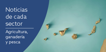 Noticias de cada sector